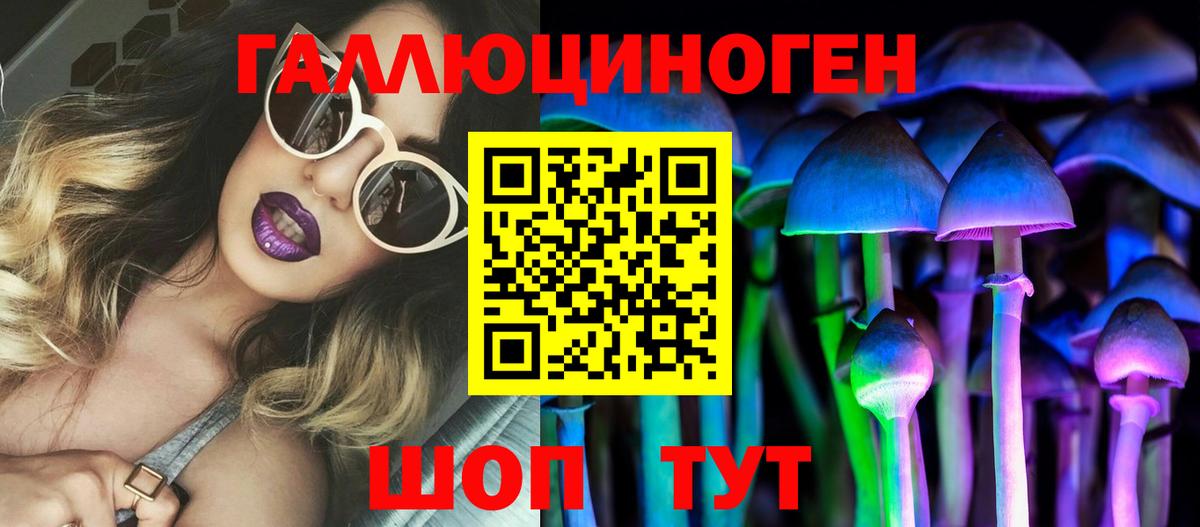 Псилоцибиновые грибы Cubensis  купить наркоту  Полысаево  Вход с VPN 